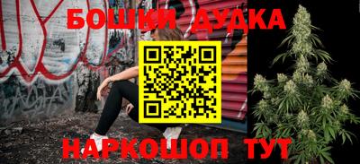 сатива Балахна