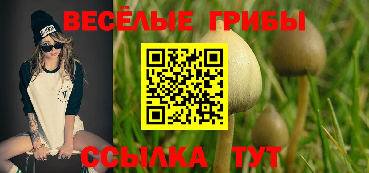 Псилоцибиновые грибы Psilocybine cubensis  Курган 